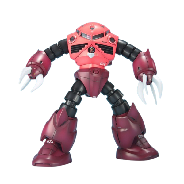 Gundam Express Australia Bandai 1/100 MG MSM-07S Z'gok Char Custom action pose