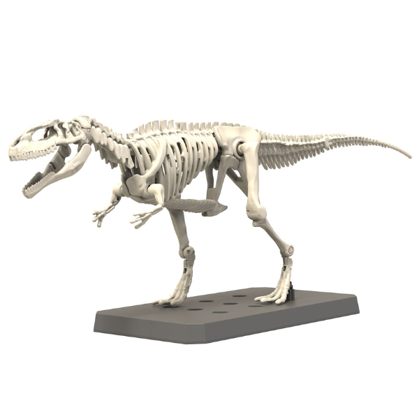 Gundam Express Australia Bandai Plannosaurus Giganotosaurus skeleton