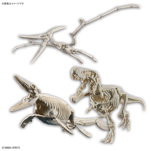 Gundam Express Australia Bandai Plannosaurus Land, Sea, and Air Dinosaur Set skeleton