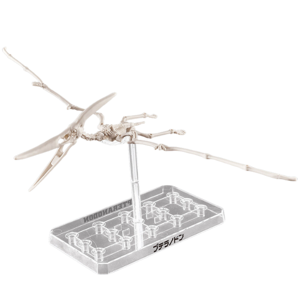 Gundam Express Australia Bandai Plannosaurus Land, Sea, and Air Dinosaur Set air dinosaur skeleton