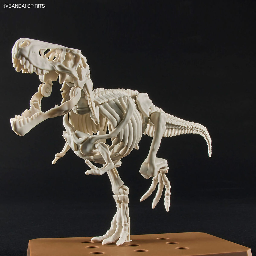 Gundam Express Australia Bandai Plannosaurus Tyrannosaurus attack pose skeleton only