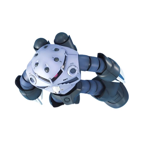 Bandai 1/100 MG MSM-07 Z'Gok looking down from above